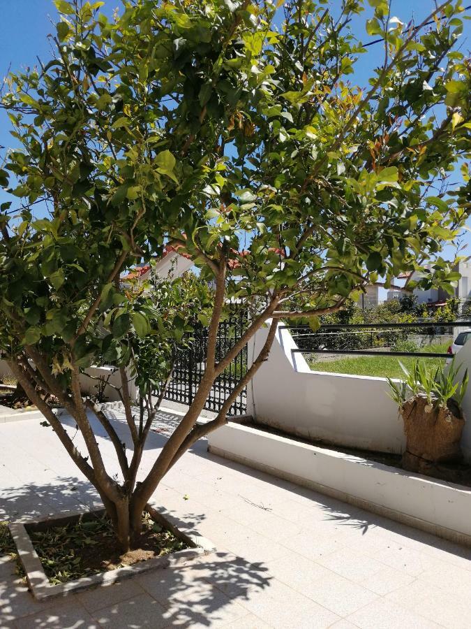 Paulsia Apartments Psinthos Dış mekan fotoğraf