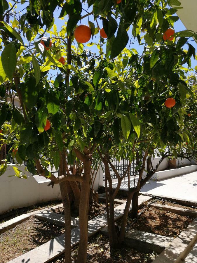 Paulsia Apartments Psinthos Dış mekan fotoğraf